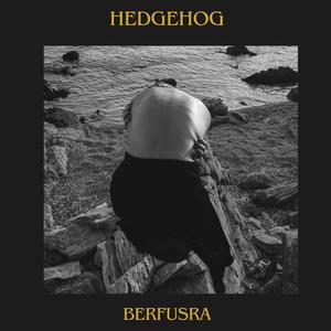 Hedgehog