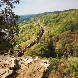 玫瑰by尔虞我诈be