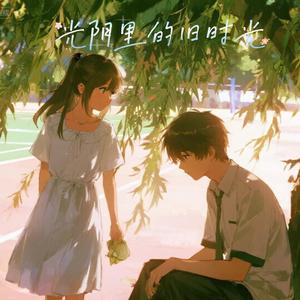光阴里的旧时光 伴奏