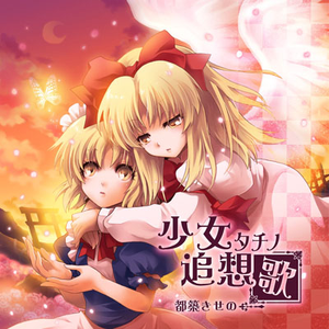 白妙菊(しろたえぎく)