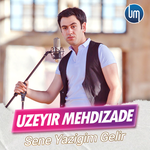 Sene Yazigim Gelir