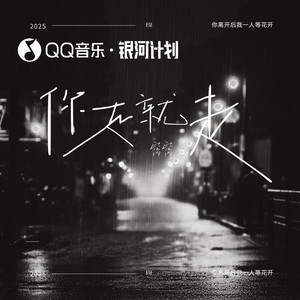 你走就走（你离开后我一人等花开） (卡点氛围版)