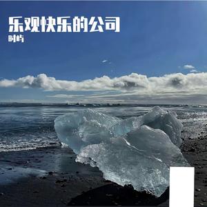 乐观快乐的公司