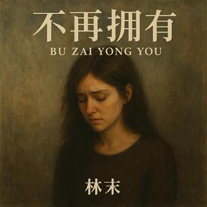 不再拥有