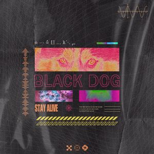 Black Dog(feat.Echo）