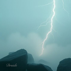 Druids