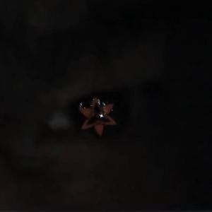 雾里（Prod By RoyalBoi）