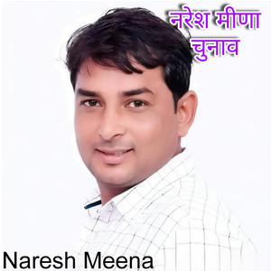 नरेश मीणा चुनाव