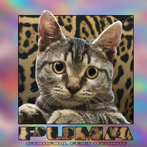 Puma (feat. Vzvmvt)