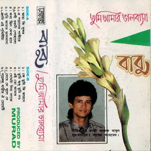 Ghomta Diye