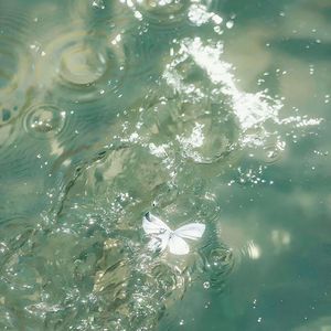 轻音乐（治愈）钢琴曲