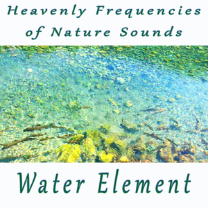 Healing Sounds of a Winter Rainy Day by a Foggy & Misty Lake