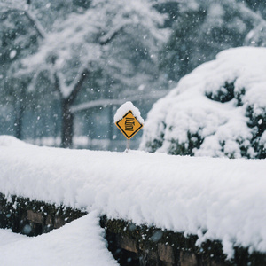 雪慢慢下