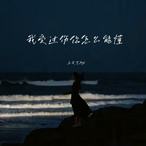 我受过的伤你怎么能懂