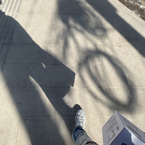 缘分落地生根是我们