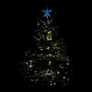 Christmas Trend 2025