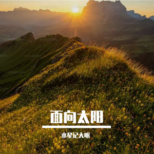 面向太阳