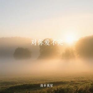 对你爱不完 (Cover 郭富城)