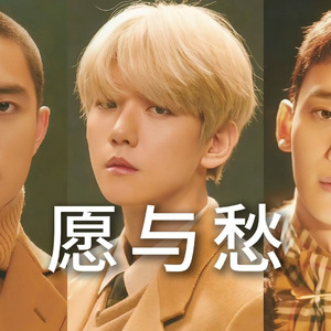 愿与愁