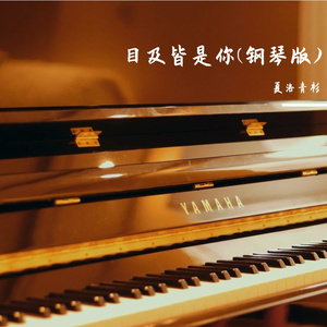 目及皆是你(钢琴版)