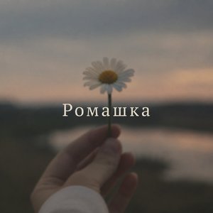 Ромашка（洋甘菊）