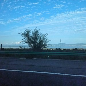 《薄荷味夏天》