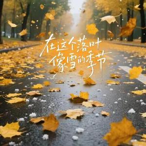 在这个落叶像雪的季节