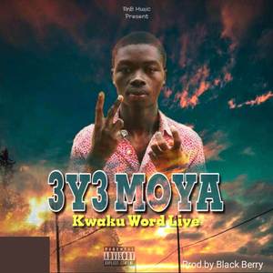 3y3 MOYA