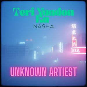 Teri Yaadon Ka Nasha (U/A)