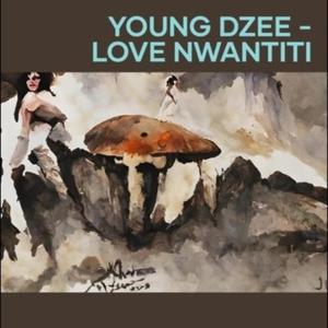 Young Dzee (Love Nwantiti)