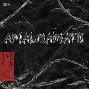 Amalgamate (feat. Data Roaming)