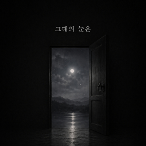 그대의 눈은