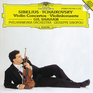 Violin Concerto in D minor Op.47:1. Allegro moderato
