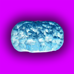 核废料freestyle（Prod T.F.G）