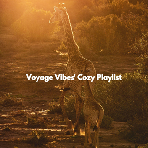 Easy Ambience for Summer Holidaying