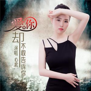 爱你却不敢告诉你 (Dj何鹏版)