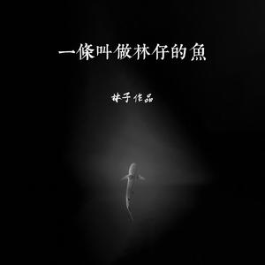 一条叫林仔的鱼