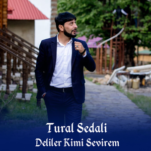 Deliler Kimi Sevirem