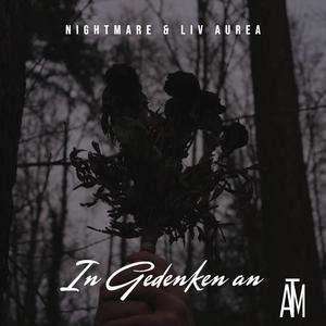 In Gedenken an (feat. Liv Aurea)
