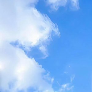 荷塘月色envision