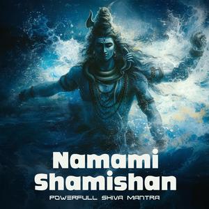 Namami Shamishan