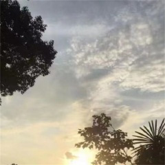 那感觉就像心里藏了一个人 (DJ版)