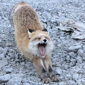 停止内耗向前冲