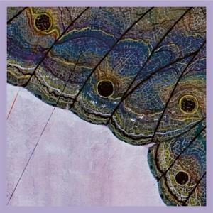 Prospect Park (feat. Tony Malaby, Hans-Peter Pfammatter & Lionel Friedli)