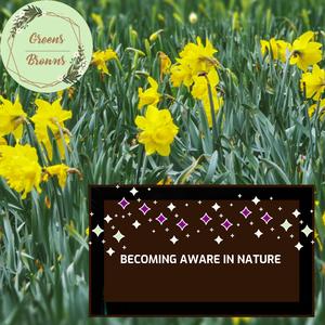 Calm Frogs and Crickets Sound