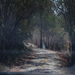 Steven Para Cuando No Esté