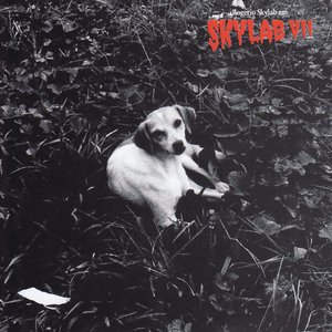 Hei moço, já matou uma velhinha hoje?