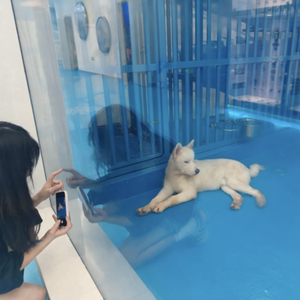 失眠夜_MMM2(有叠声）.wav