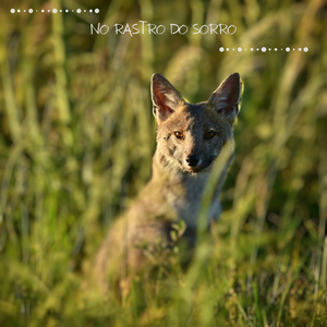 No Rastro do Sorro