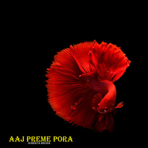 Aailo re korma porob